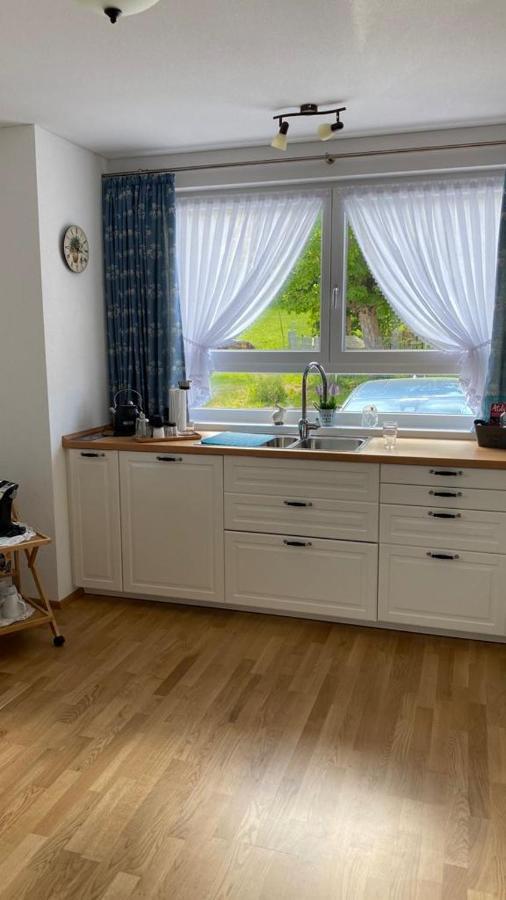 Steppacher Ferienappartements Friedenweiler المظهر الخارجي الصورة